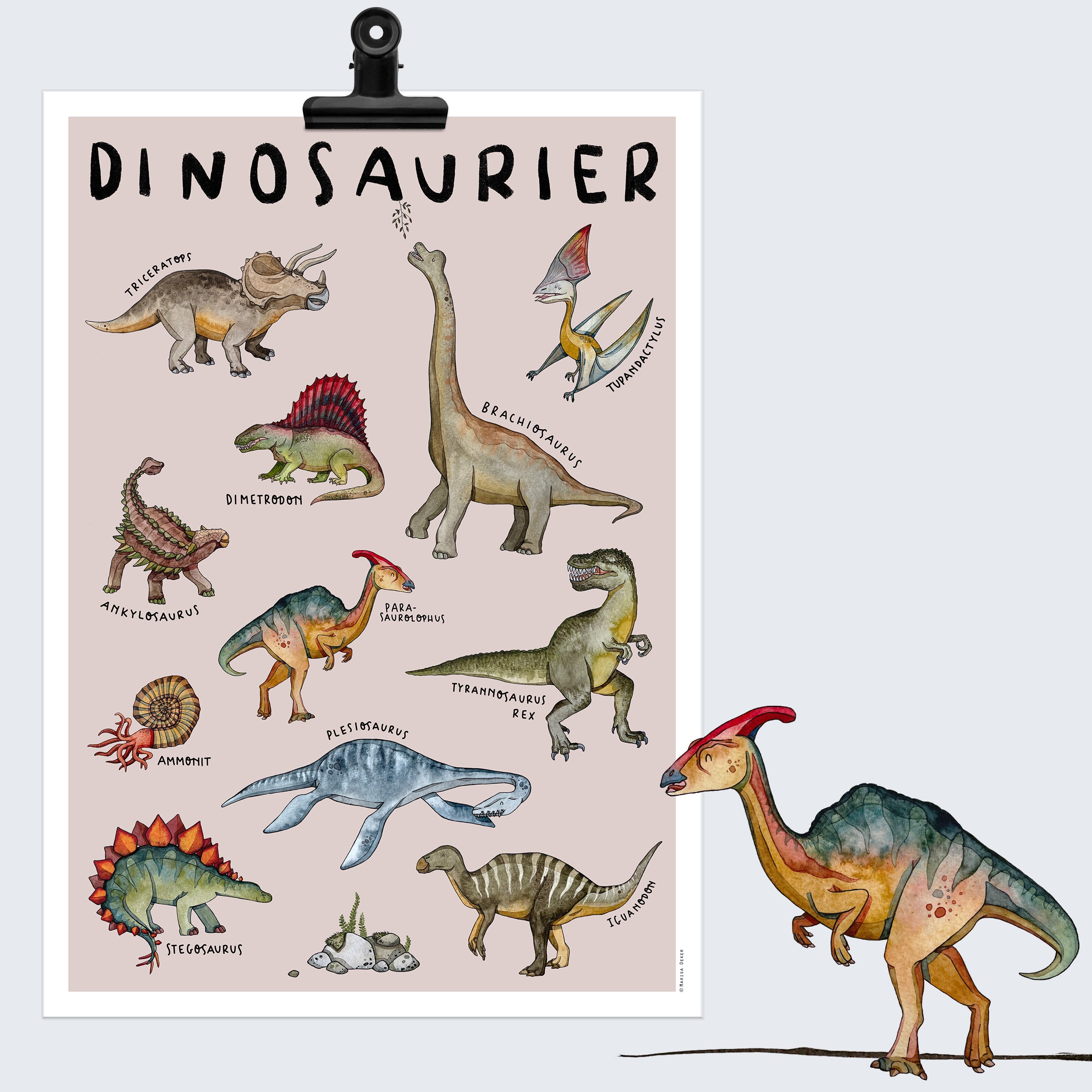Poster Dinosaurier von Marisa Oeker. Unterschiedliche gezeichnete Dinosaurier mit Beschriftung. 