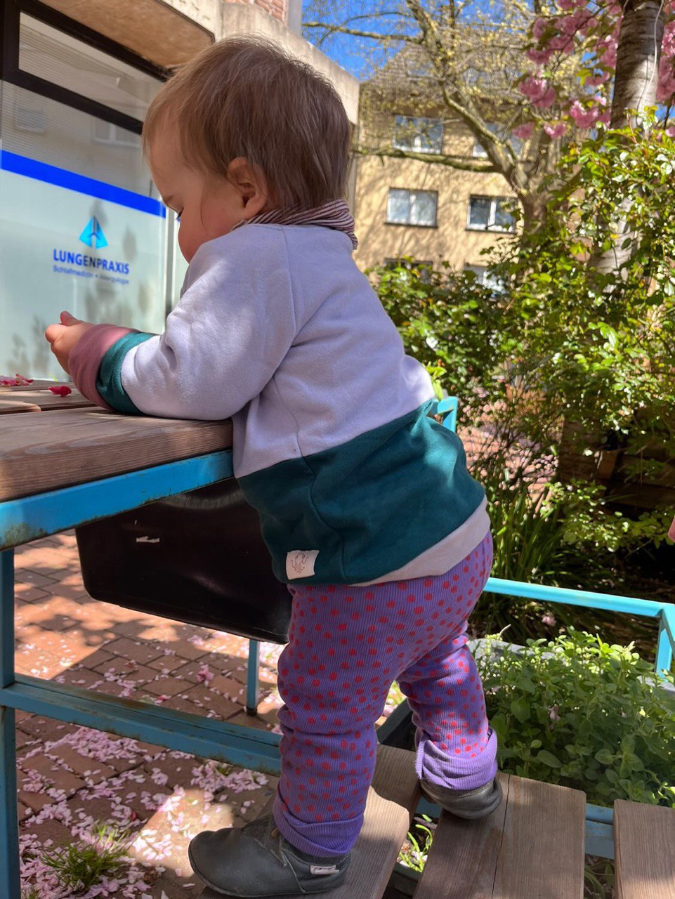 Elf Monate altes Baby trägt einen flieder - und grünfarbigen Oktopulli im Garten.