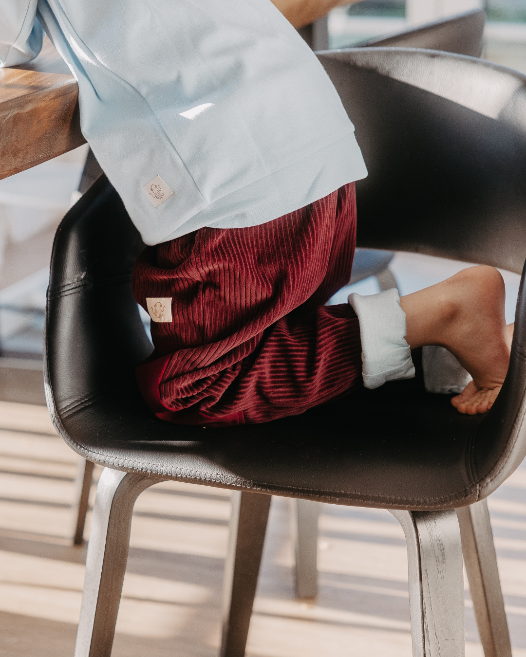 Warum Cordnicki der ideale Begleiter ist.