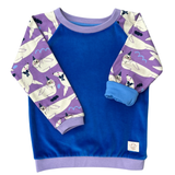 Mitwachsender Sweater Kinder ganzjährig | Bio Baumwolle | Robben