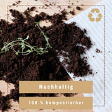 Naturschwämme kompostierbar (3er Set)