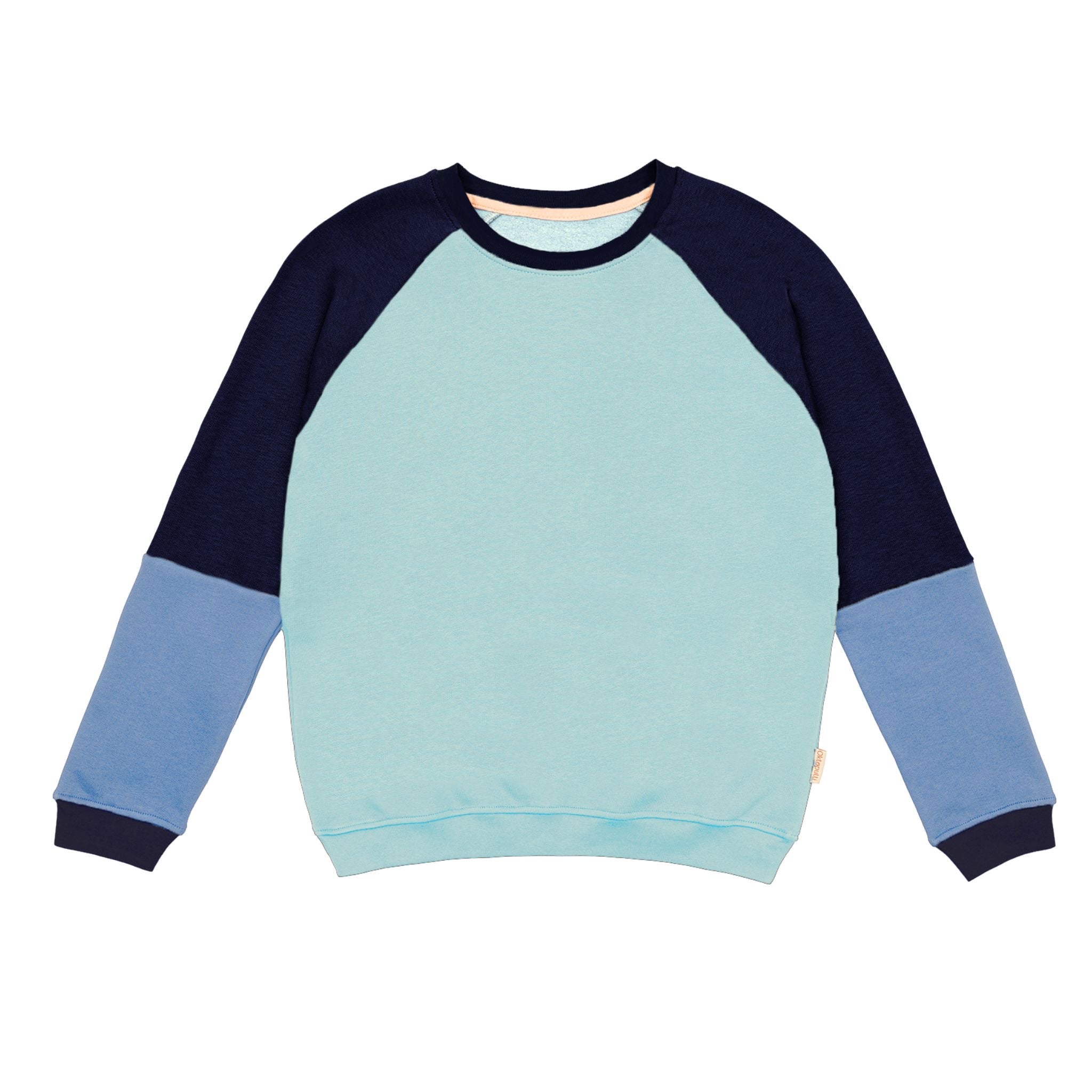Warmer unisex Pullover aus Bio Baumwoll-Kuschelsweat |  Ocean Fade