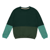 Unisex Sweater - Bio Pullover aus Kuschelsweat |  Green Fade