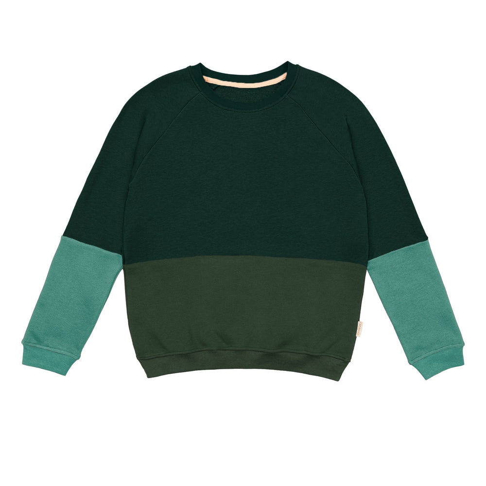 Warmer unisex Pullover aus Bio Baumwoll-Kuschelsweat | Green Fade