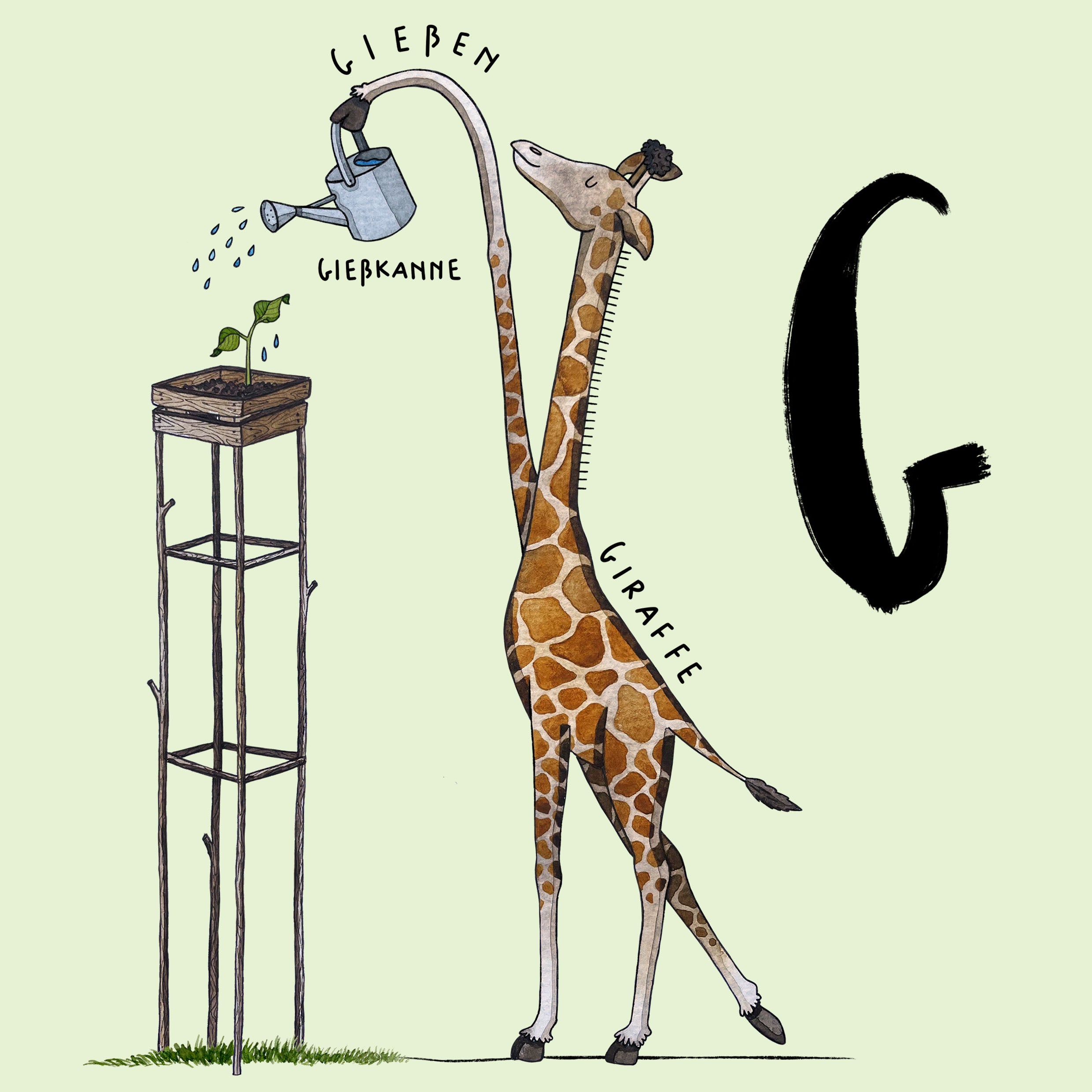 Der Buchstabe G. Eine Giraffe gießt mit einer Gießkannne eine Pflanze.