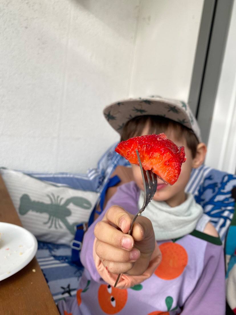 Ein Kind hält eine, auf eine Gabel aufgespießte Erdbeere in die Kamera, wodurch sein Gesicht verdeckt wird. Das Kind trägt einen lilafarbenen Oktopulli mit aufgedruckten Orangen.
